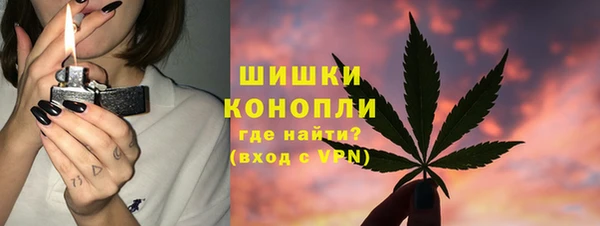 молекула духа Переславль-Залесский
