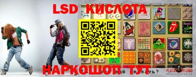мяу мяу мука Ярославль