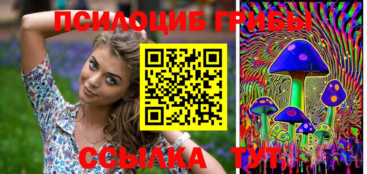 Псилоцибиновые грибы Psilocybine cubensis  Галлюциногенные грибы Cubensis  Переславль-Залесский  Вход с VPN 